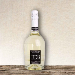 Terre Nardin - Prosecco Blanc de Blancs Millesimato