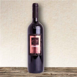 Apollonio - Terragnolo Primitivo Salento IGP Rosso
