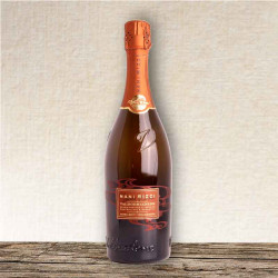 Nani Rizzi - Prosecco Vadlobbiadene Millesimato DOCG Extra Brut